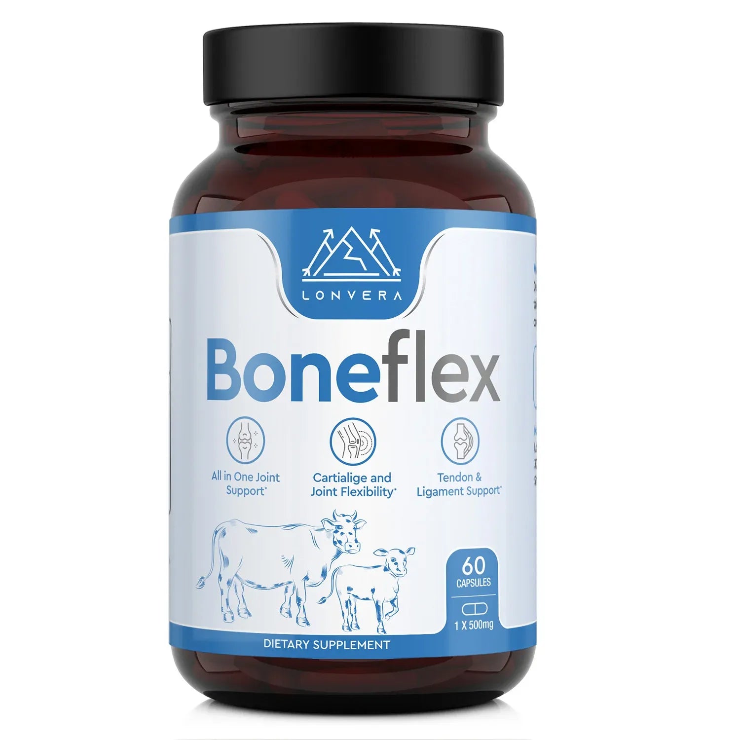 Joint Support Supplement